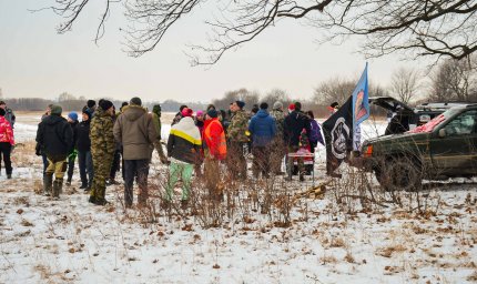 Новый год 2019